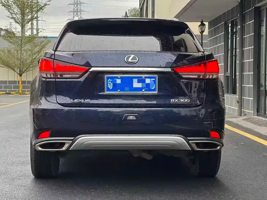Lexus RX — фото 6