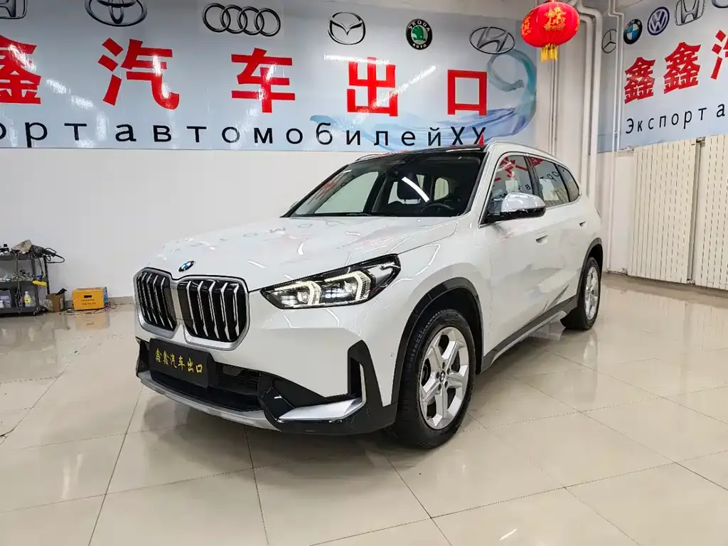 BMW X1 — фото 1