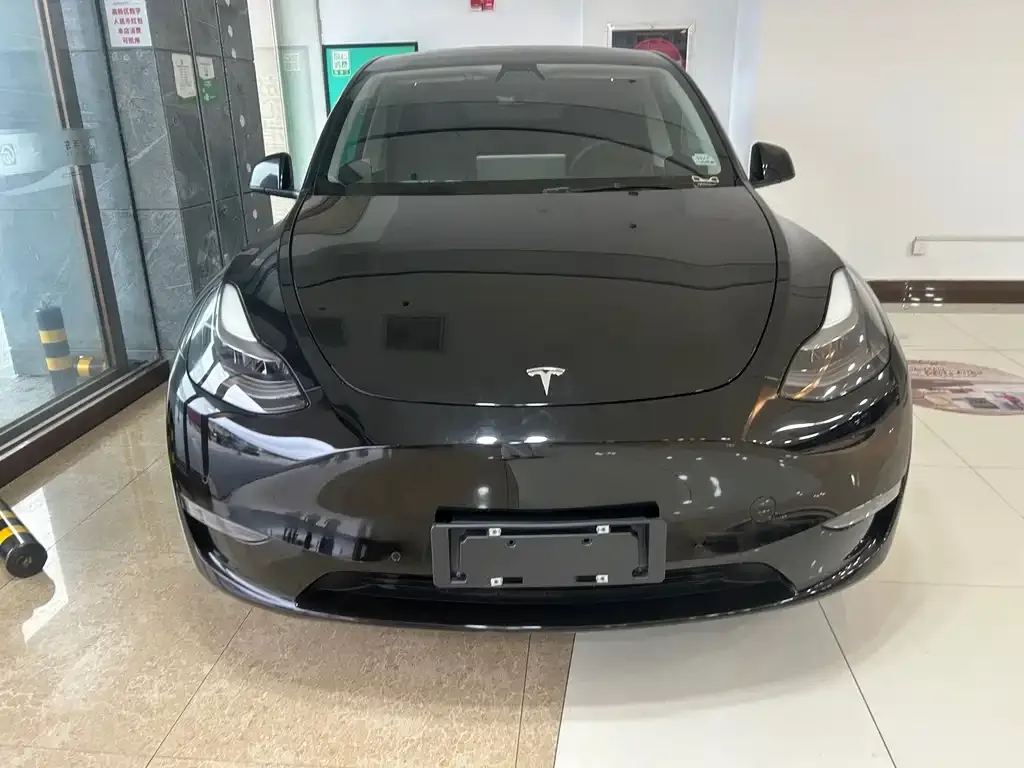 Tesla Model Y — фото 6