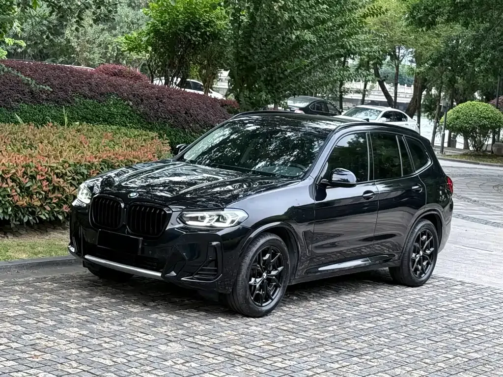 BMW X3 — фото 1