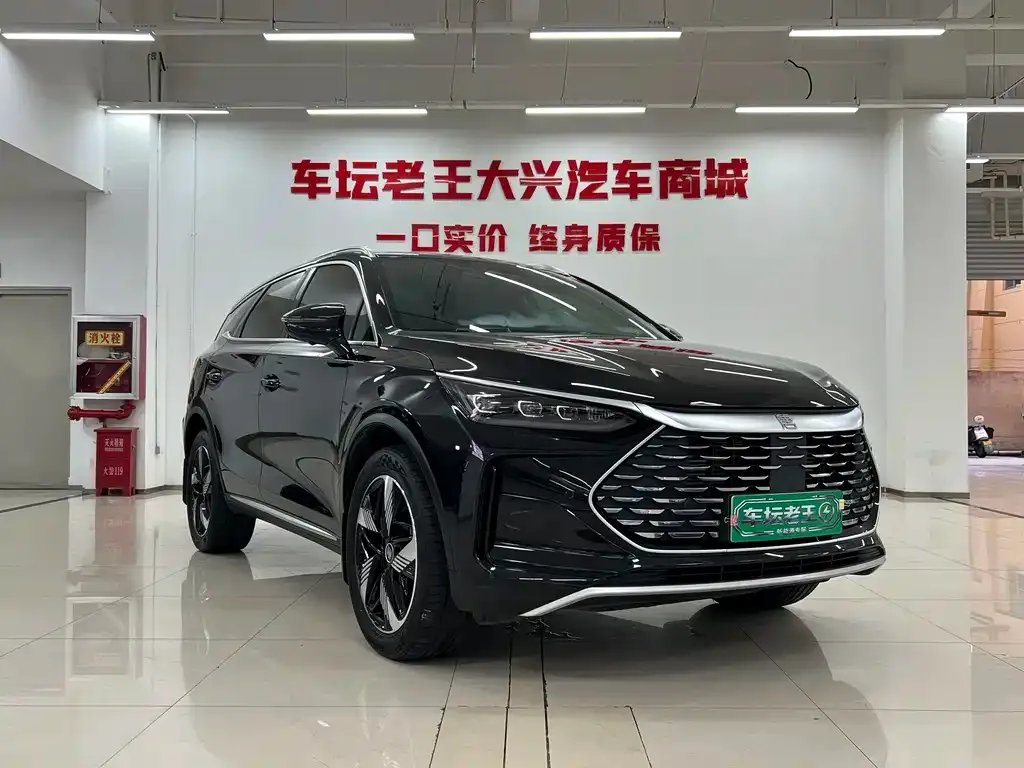 BYD Tang New Energy — фото 10
