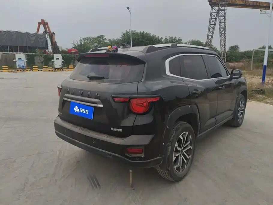 Haval Big Dog PLUS — фото 2