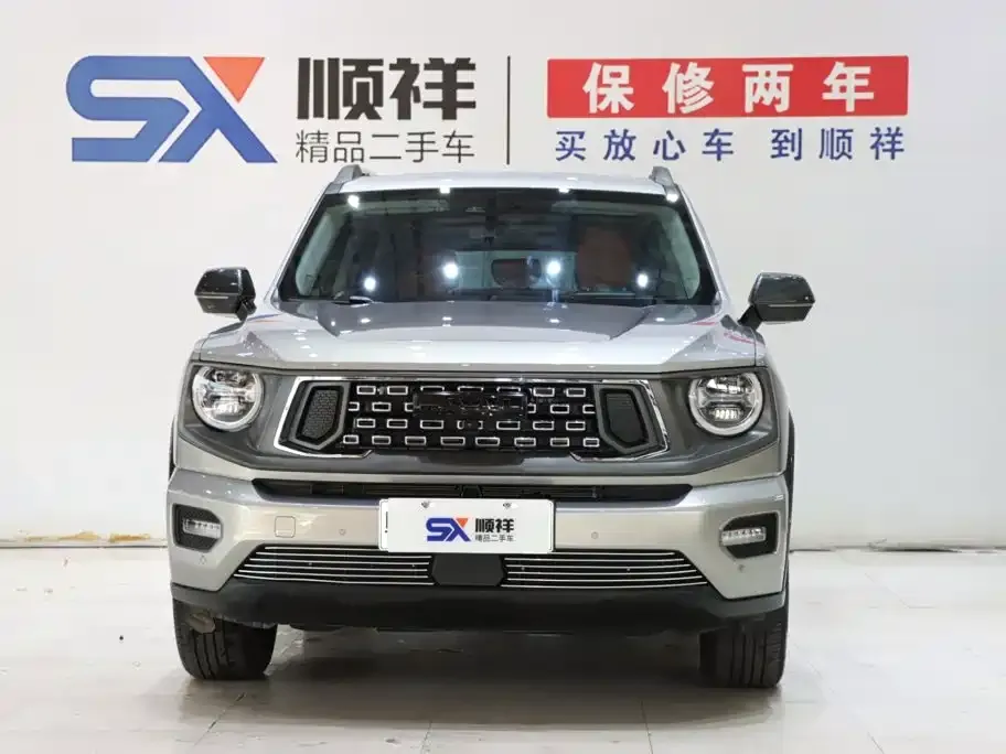 Haval Big Dog PLUS New Energy — фото 4