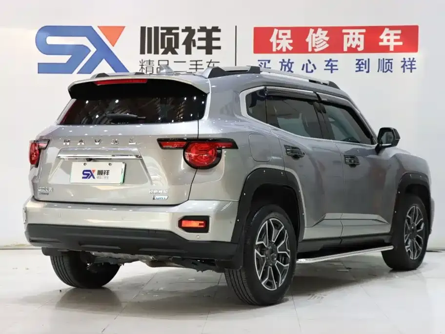 Haval Big Dog PLUS New Energy — фото 3