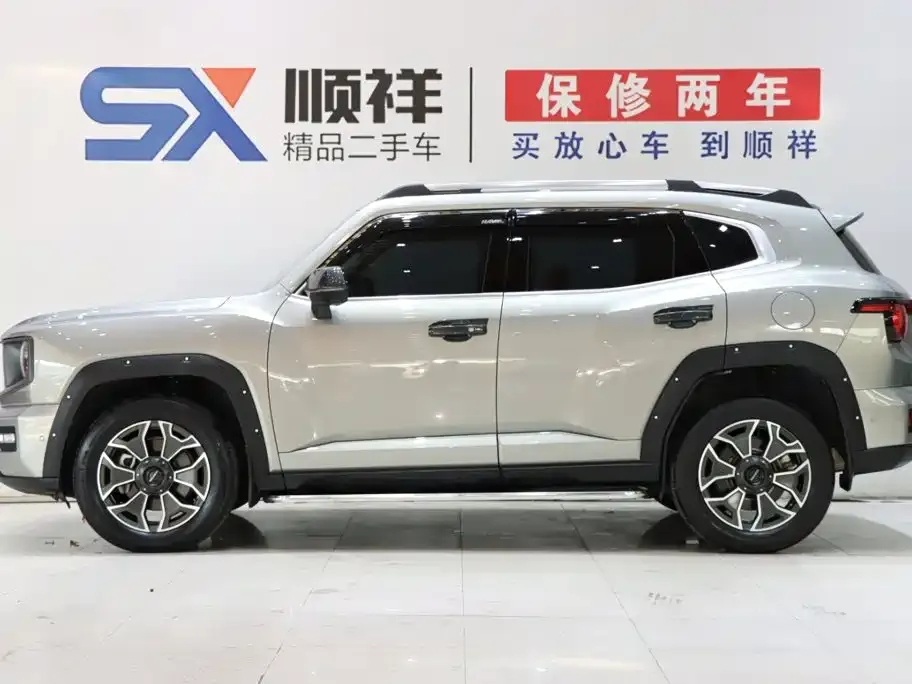 Haval Big Dog PLUS New Energy — фото 5
