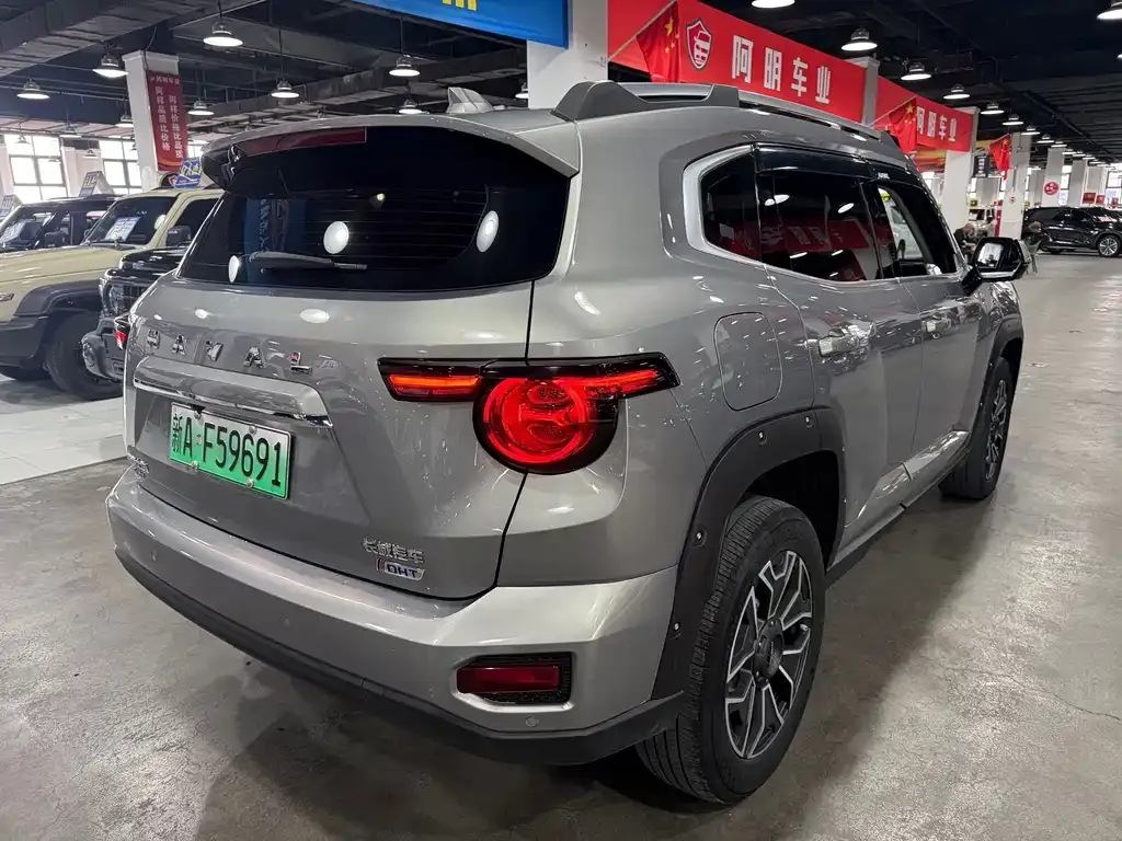 Haval Big Dog PLUS New Energy — фото 8