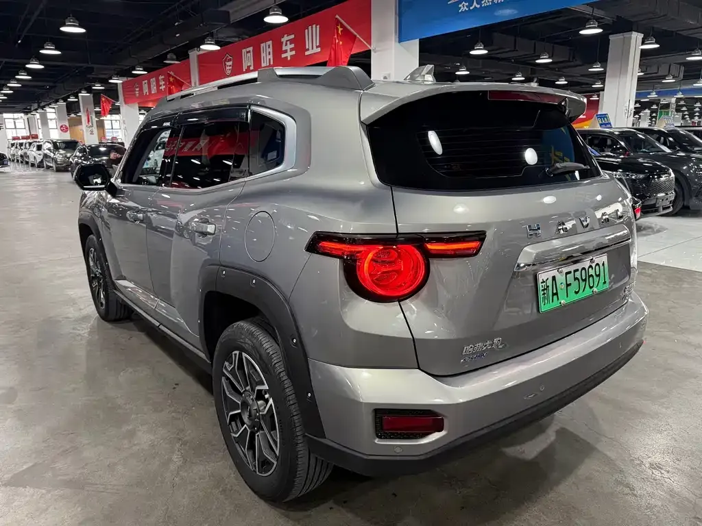 Haval Big Dog PLUS New Energy — фото 7