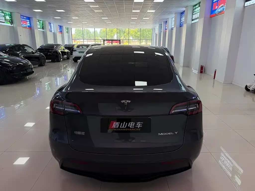 Tesla Model Y — фото 8