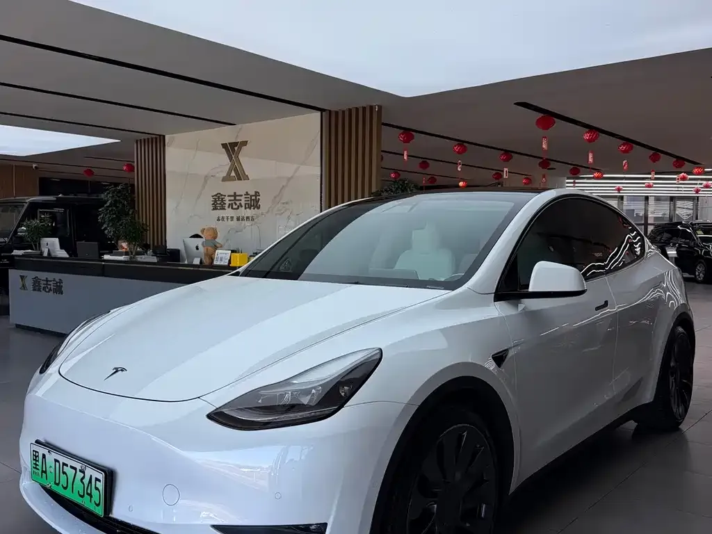 Tesla Model Y — фото 1