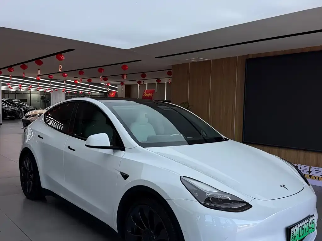 Tesla Model Y — фото 7
