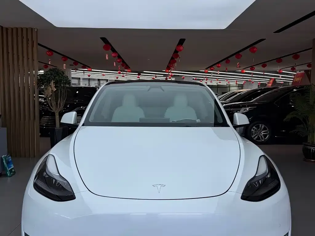 Tesla Model Y — фото 6