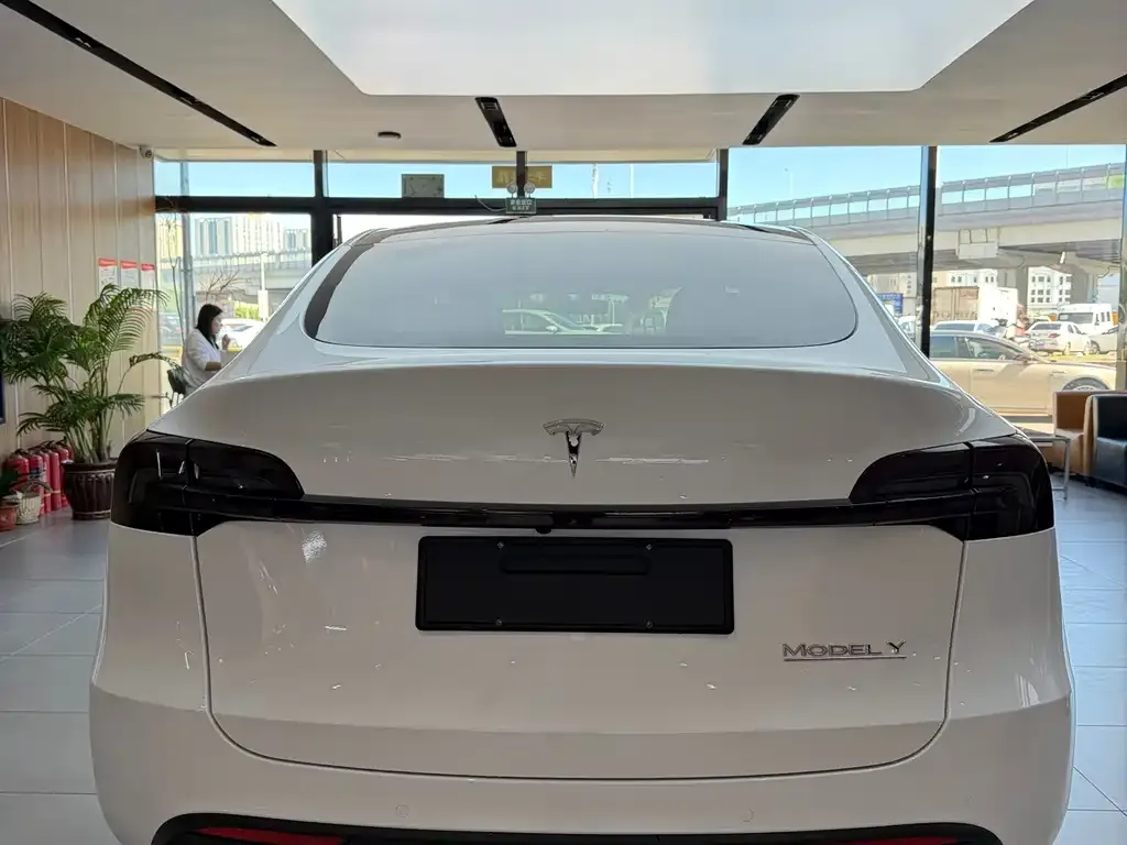 Tesla Model Y — фото 4
