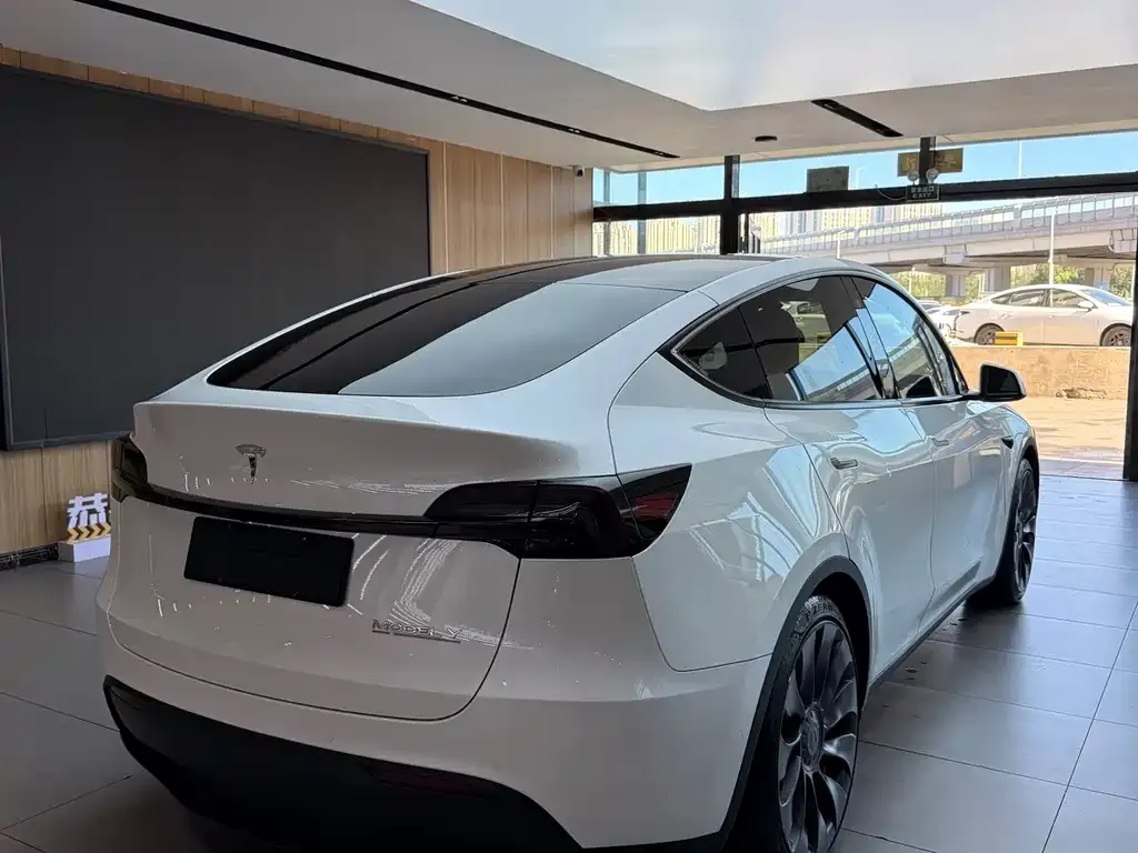 Tesla Model Y — фото 8