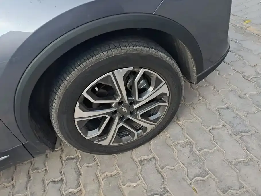 Chery Tiggo 7 PLUS — фото 9