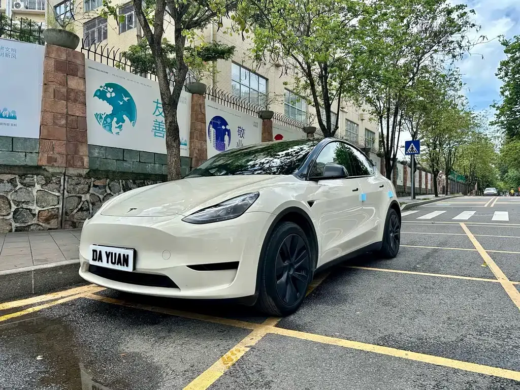 Tesla Model Y — фото 1