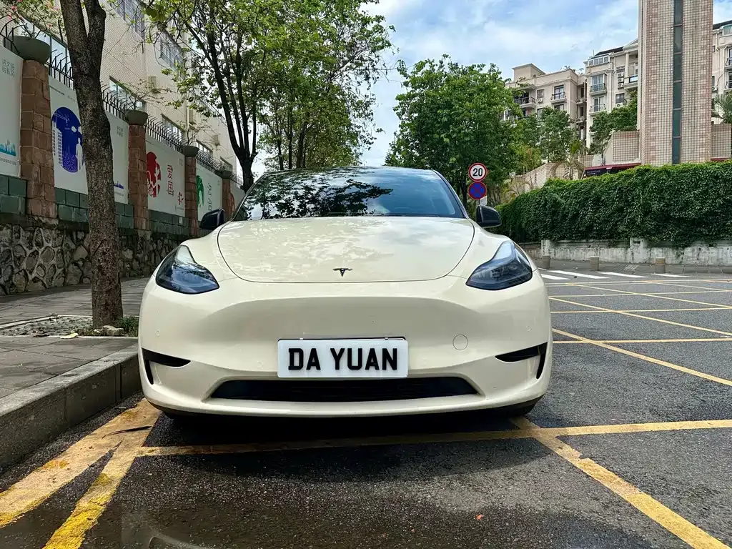 Tesla Model Y — фото 6