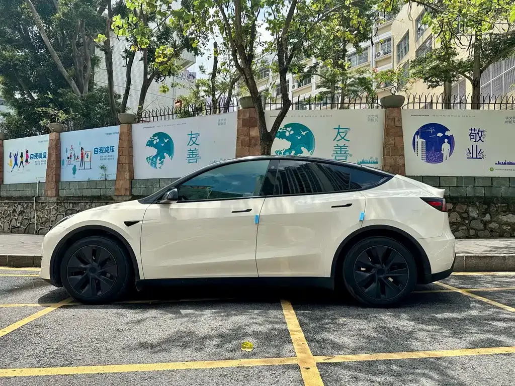Tesla Model Y — фото 10
