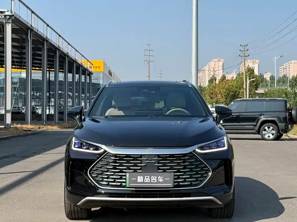 BYD Tang New Energy — фото 10