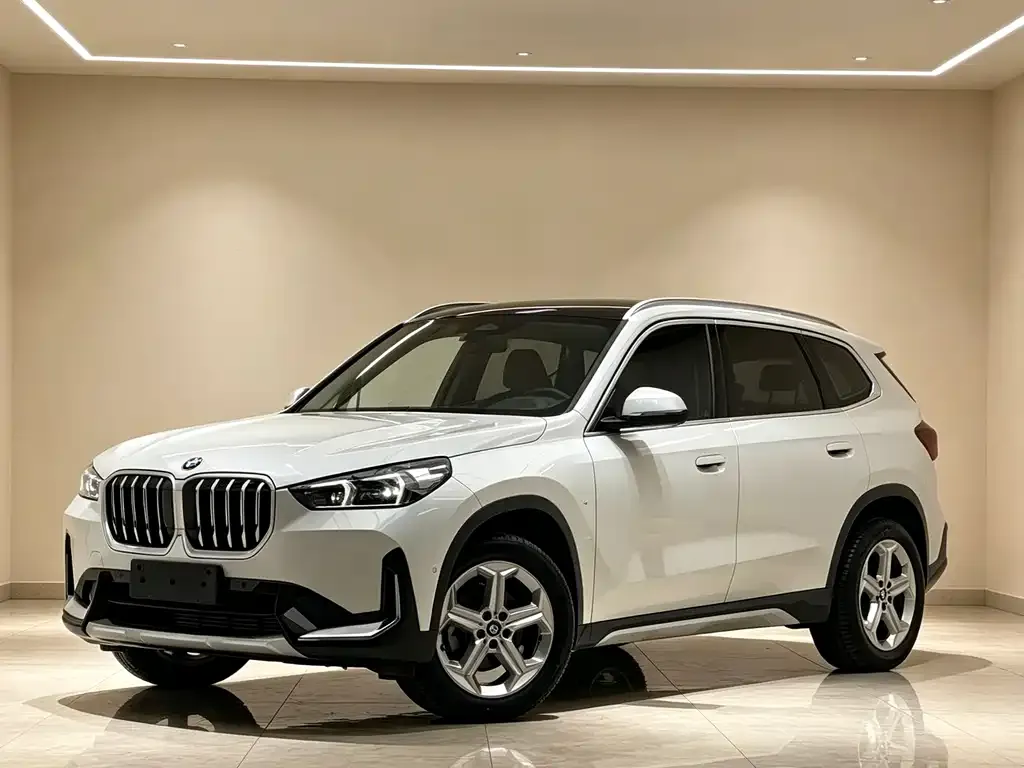 BMW X1 — фото 1