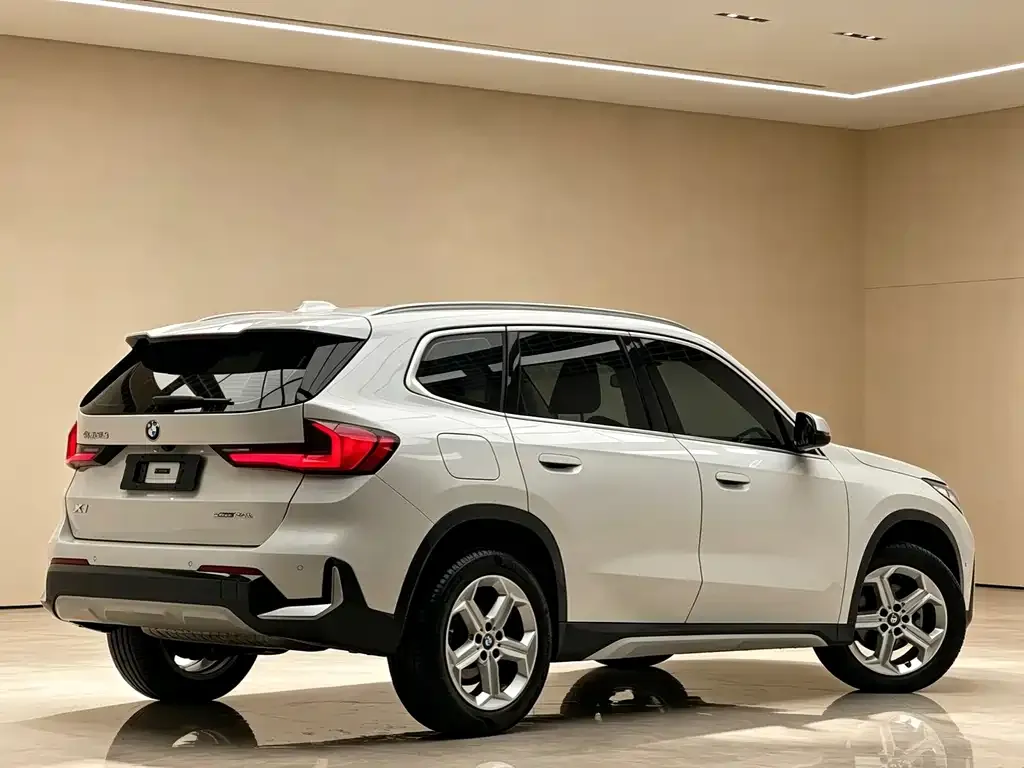 BMW X1 — фото 2