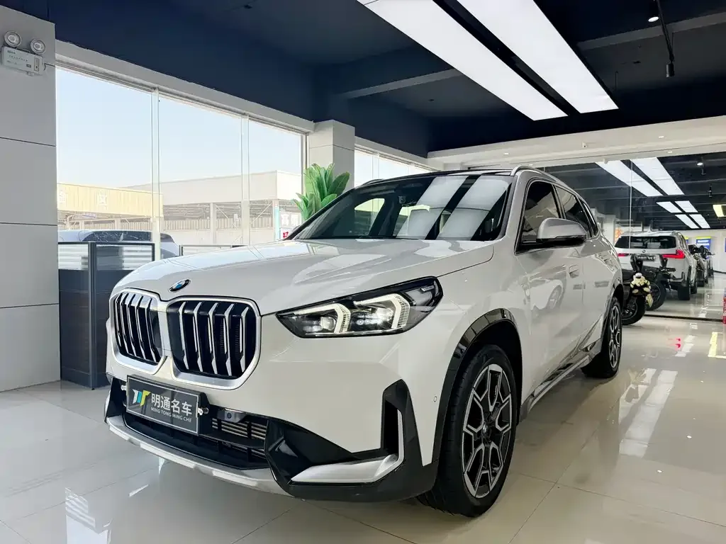BMW X1 — фото 1
