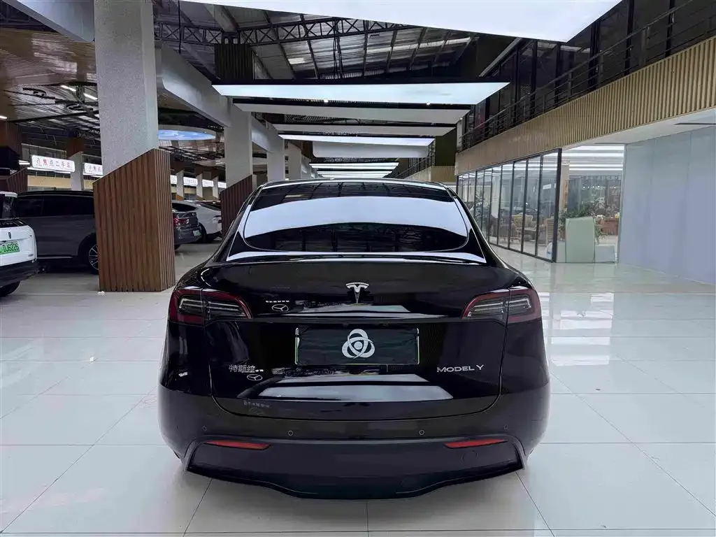 Tesla Model Y — фото 8
