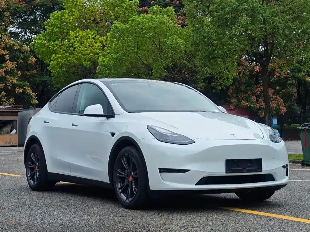 Tesla Model Y — фото 10