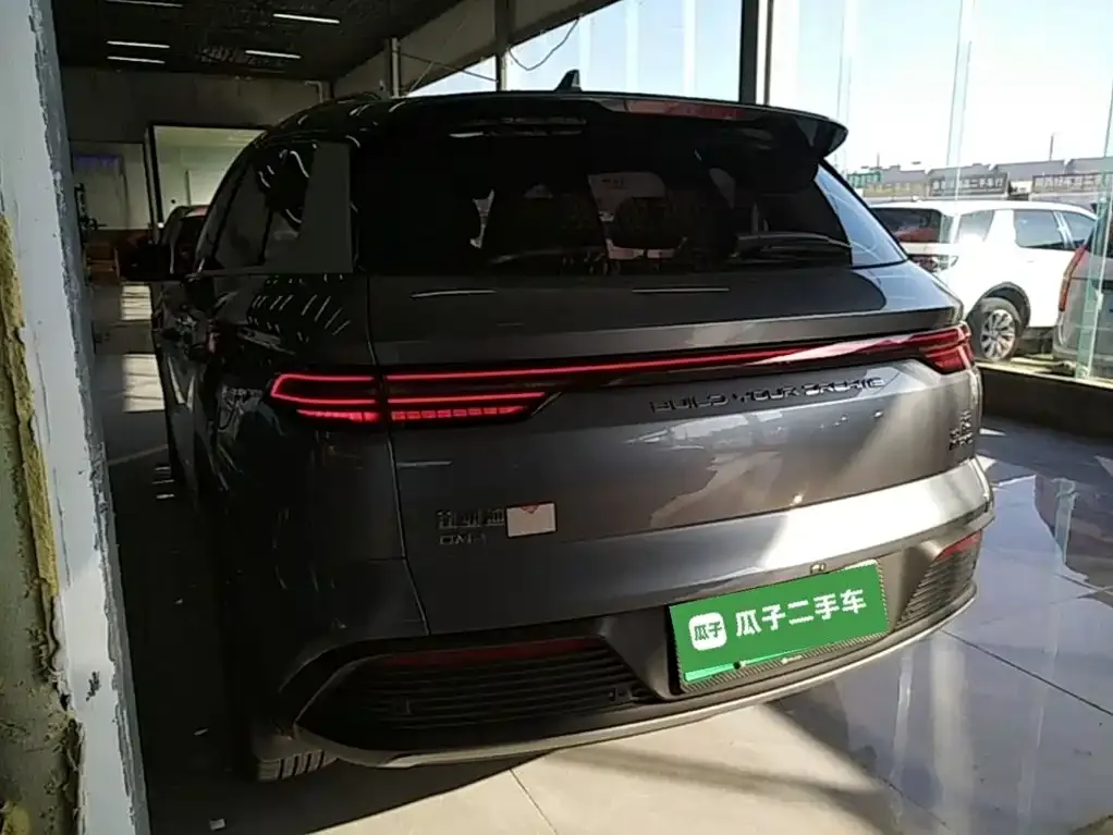 BYD Pro New Energy — фото 6