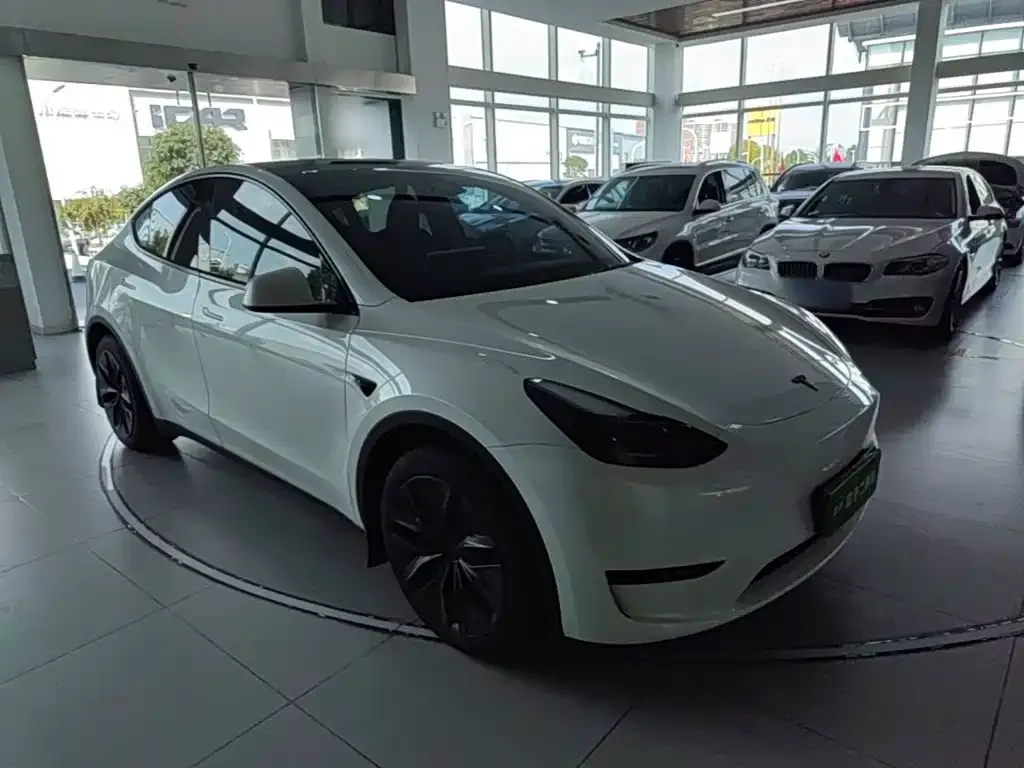Tesla Model Y — фото 9