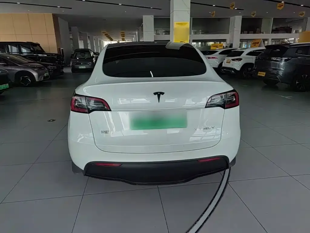 Tesla Model Y — фото 3