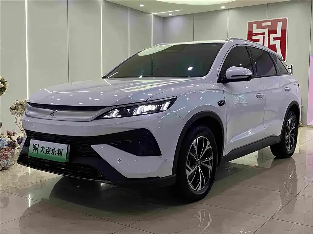 BYD Pro New Energy — фото 1