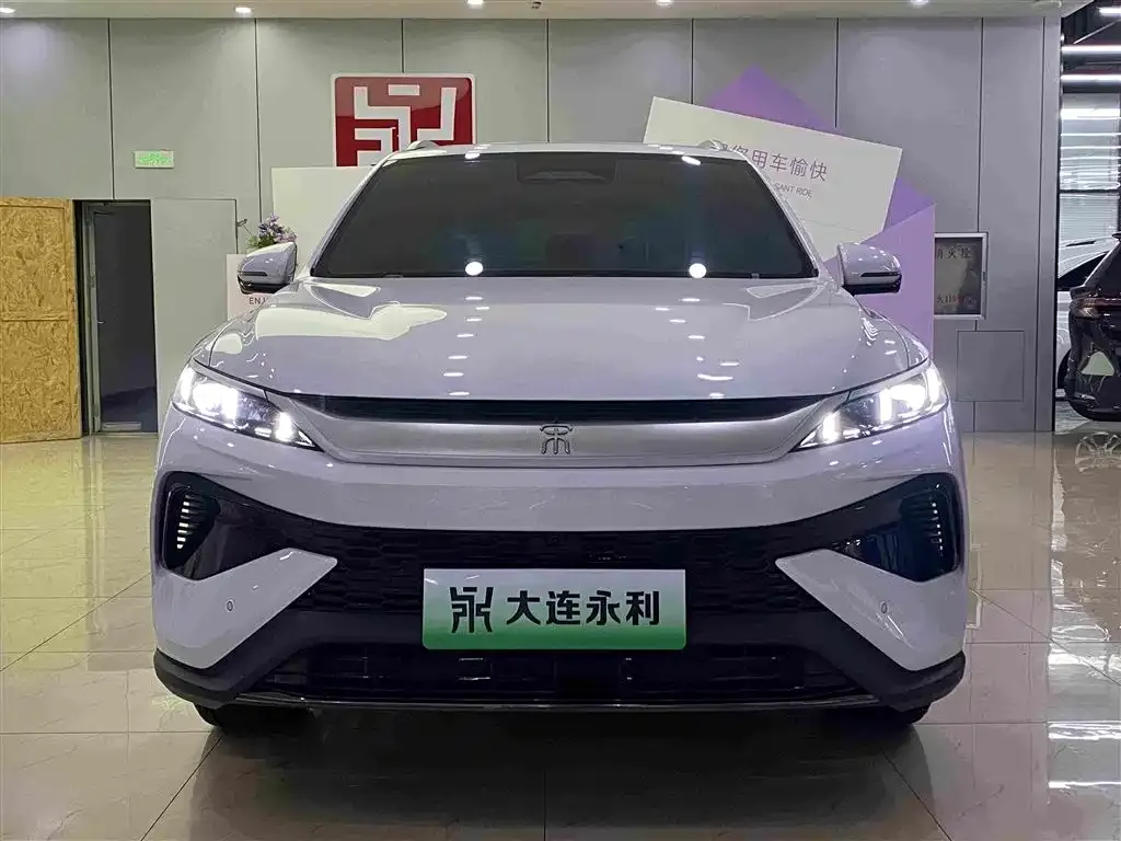 BYD Pro New Energy — фото 4