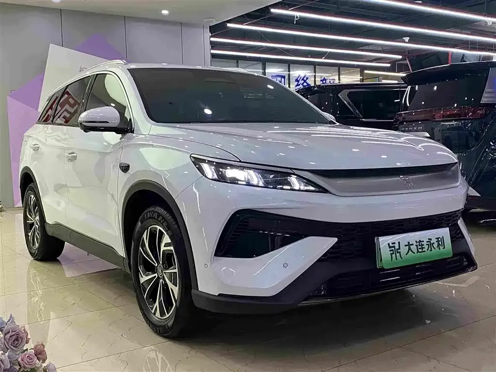 BYD Pro New Energy — фото 7
