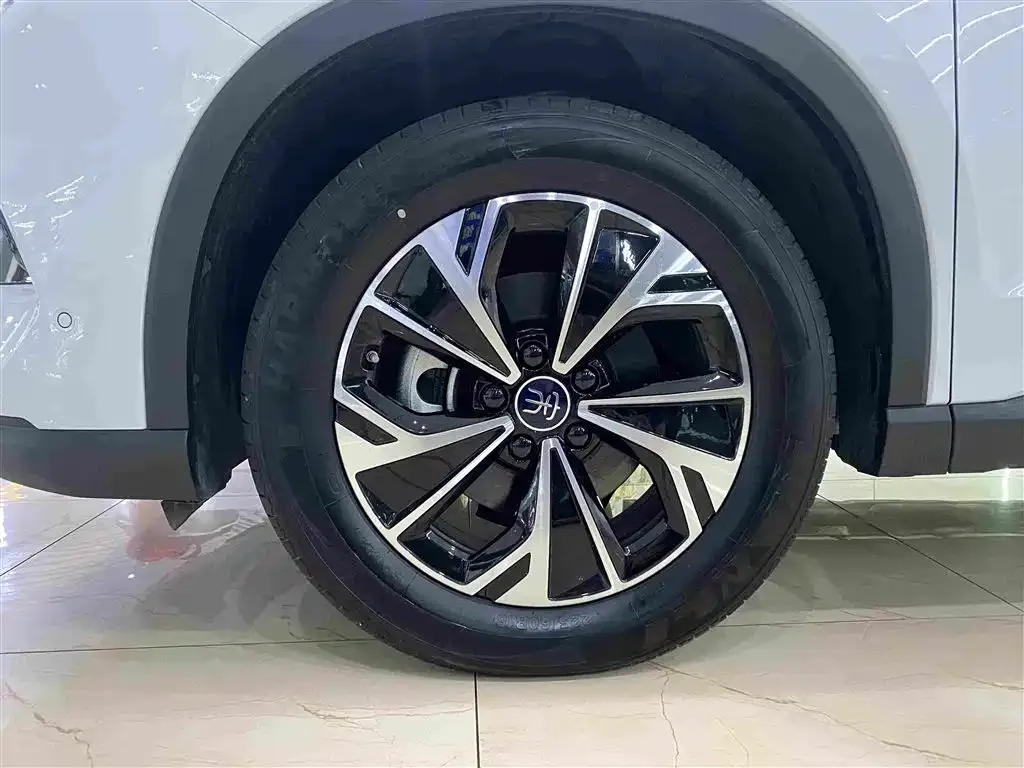 BYD Pro New Energy — фото 9