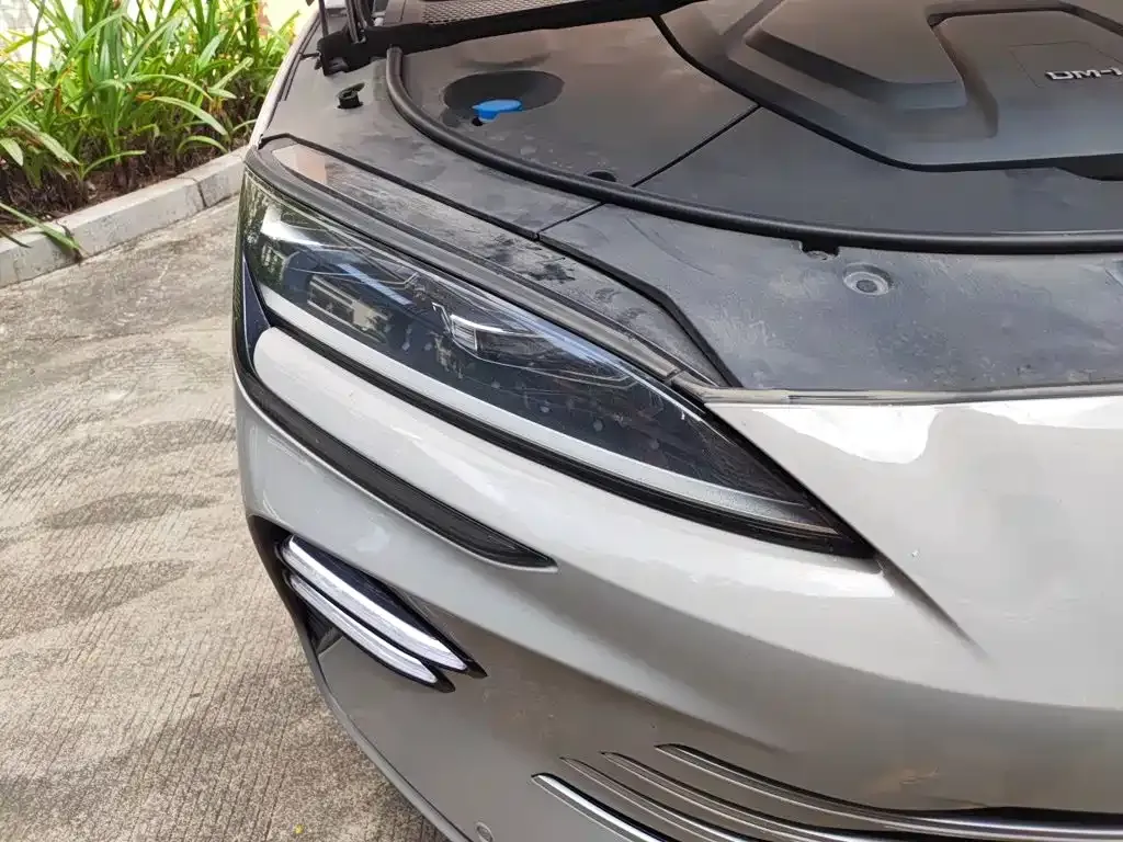 BYD PLUS New Energy — фото 10
