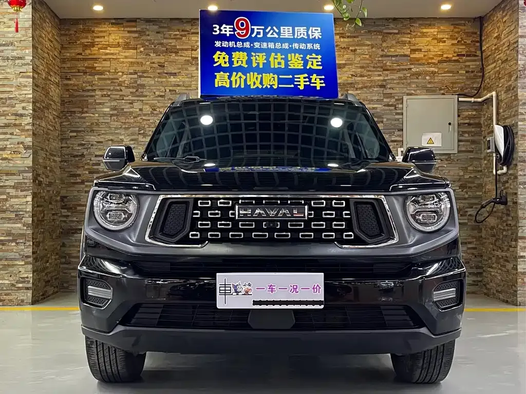 Haval Big Dog PLUS — фото 4