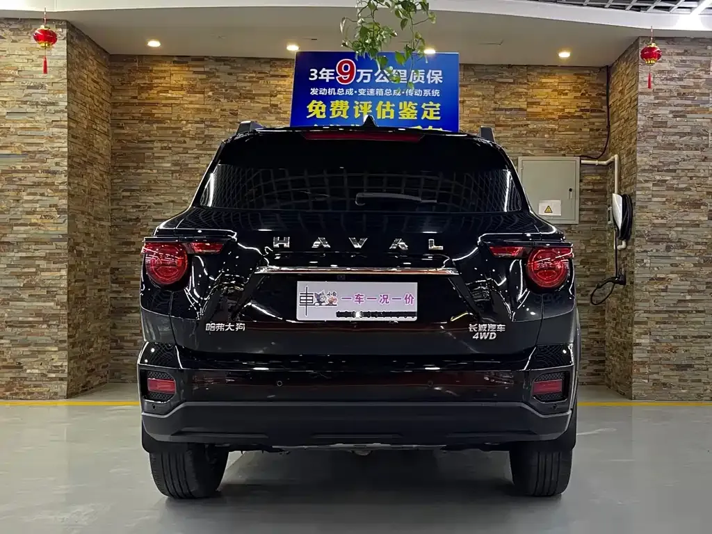 Haval Big Dog PLUS — фото 8
