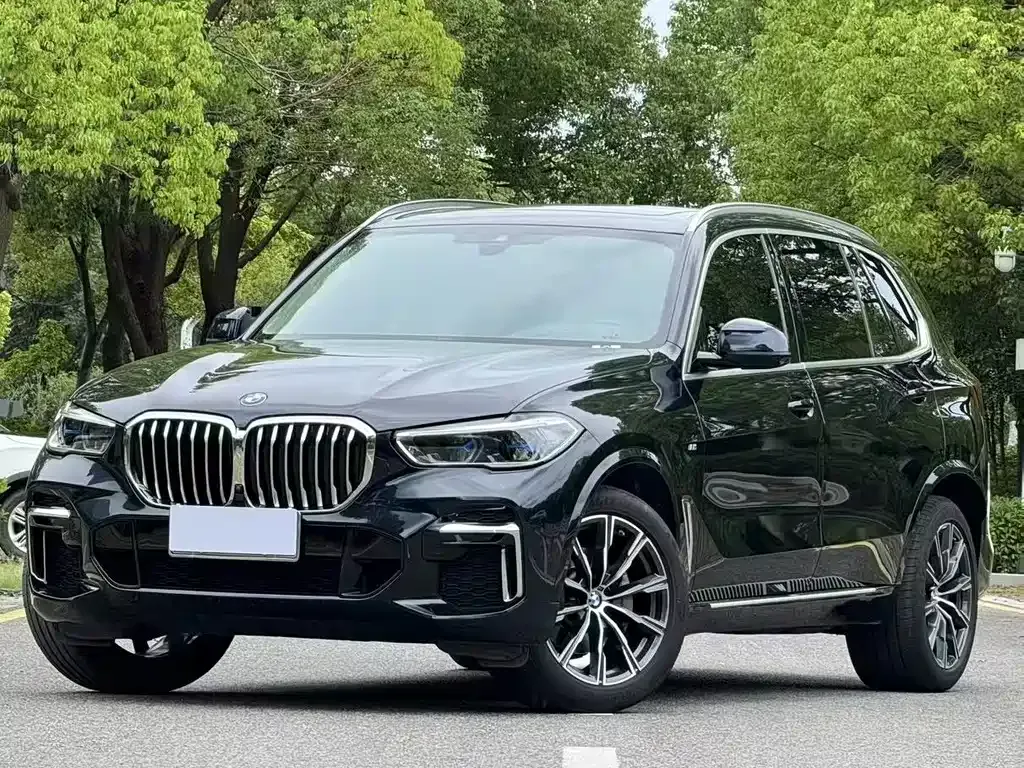 BMW X5 — фото 1