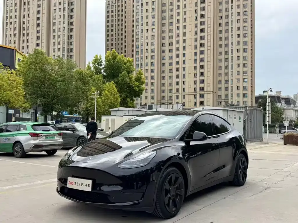 Tesla Model Y — фото 1