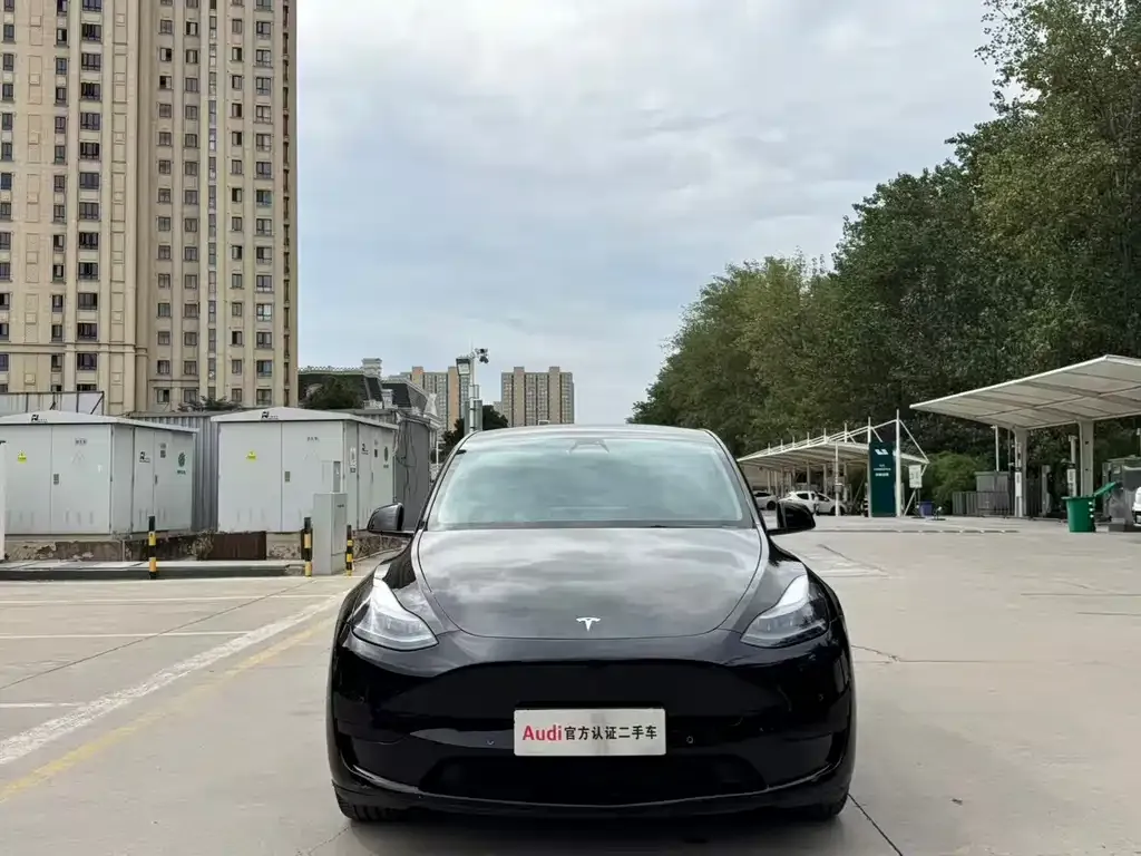 Tesla Model Y — фото 6