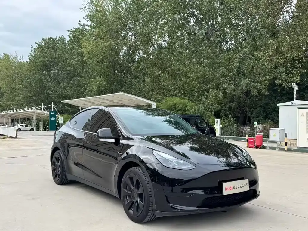 Tesla Model Y — фото 8