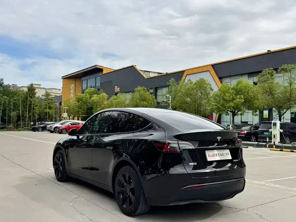 Tesla Model Y — фото 9