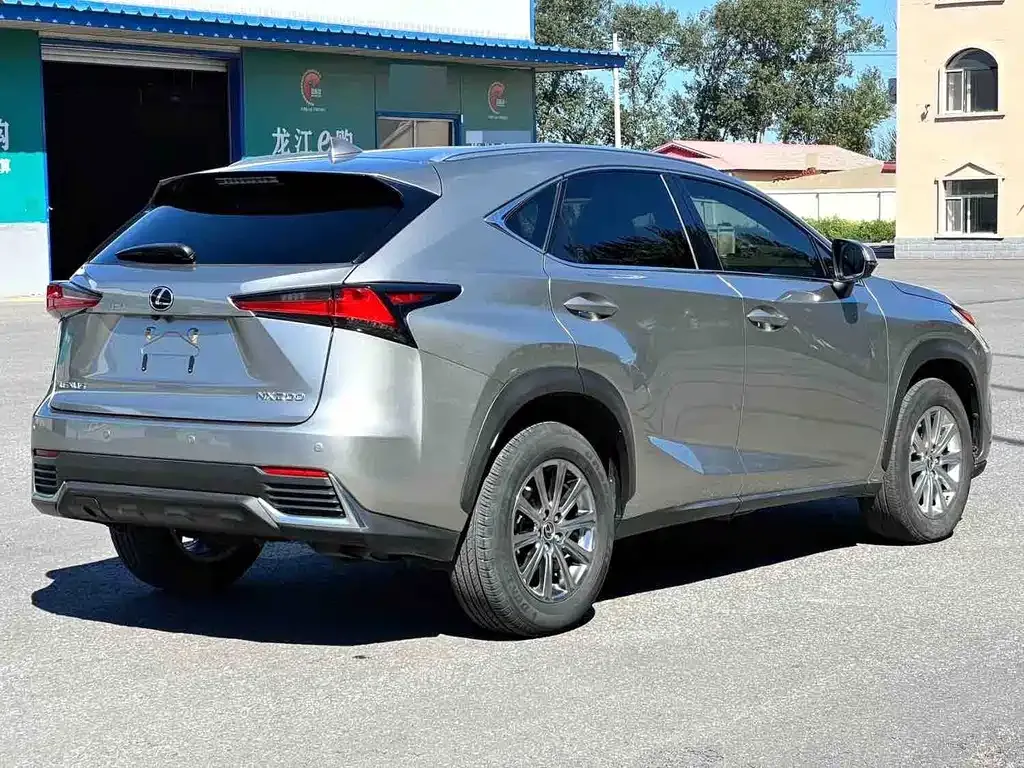 Lexus NX — фото 6