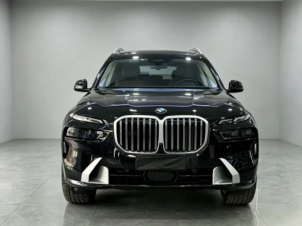 BMW X7 — фото 8