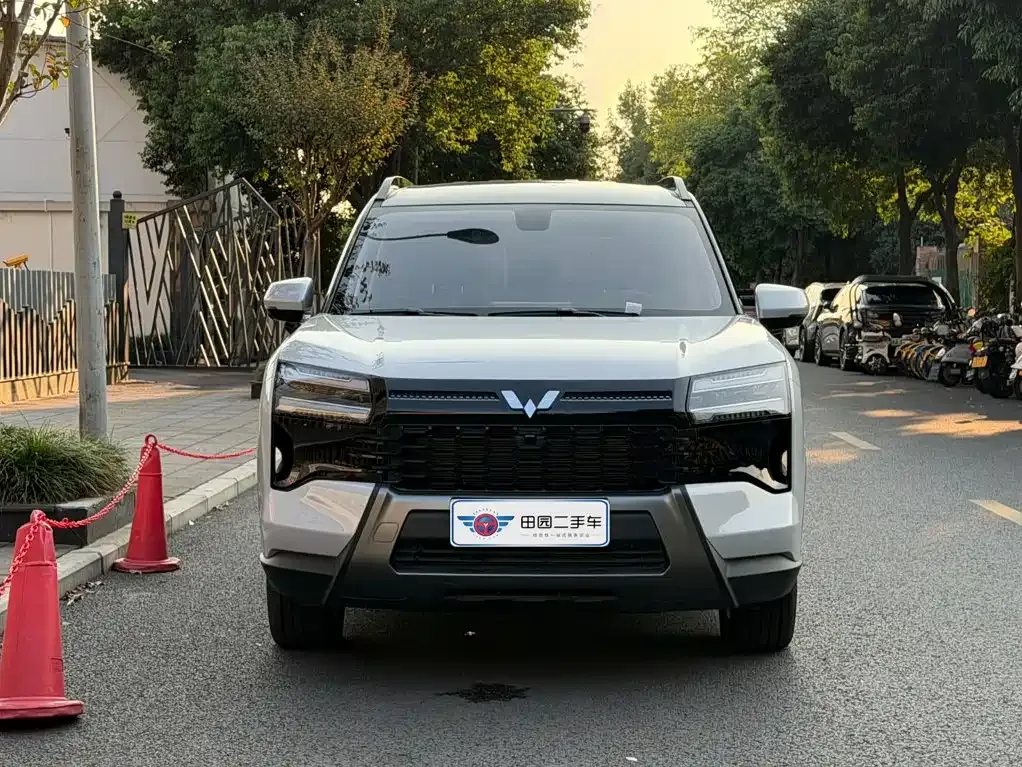 Wuling Xingguang 560 New Energy — фото 10