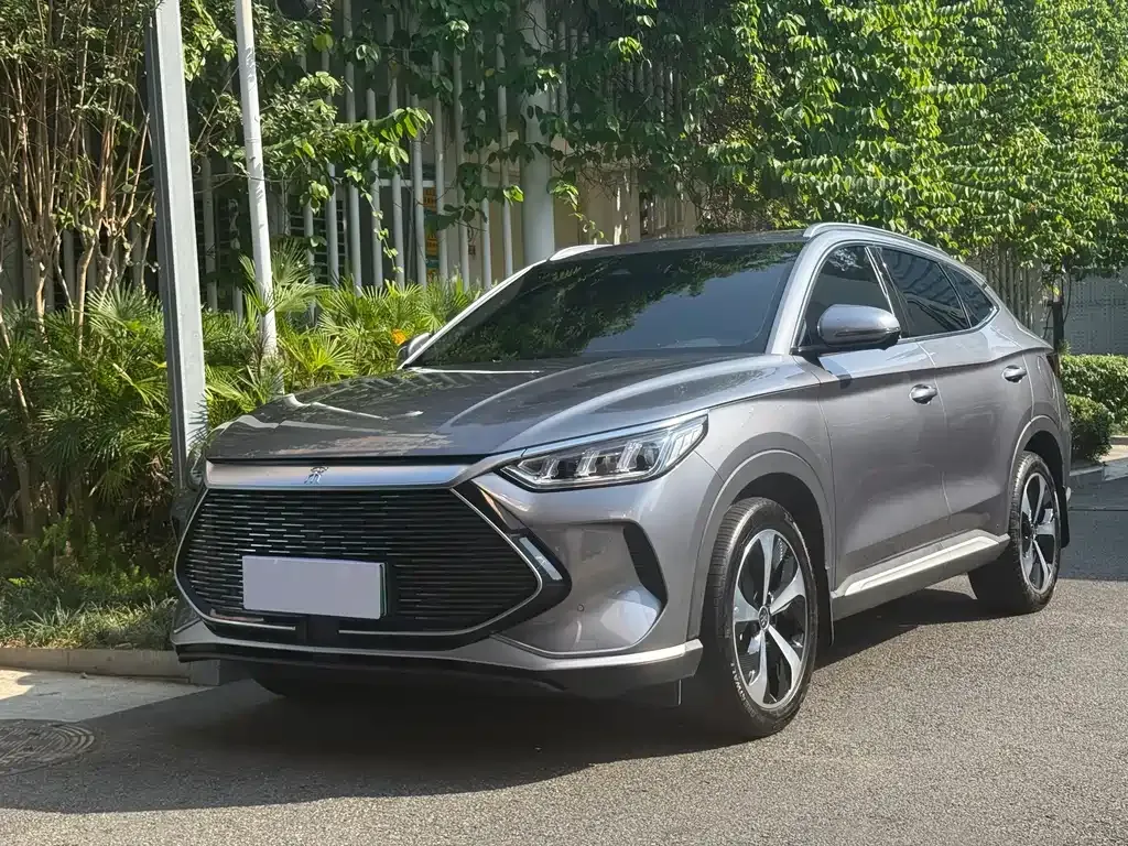 BYD PLUS New Energy — фото 1