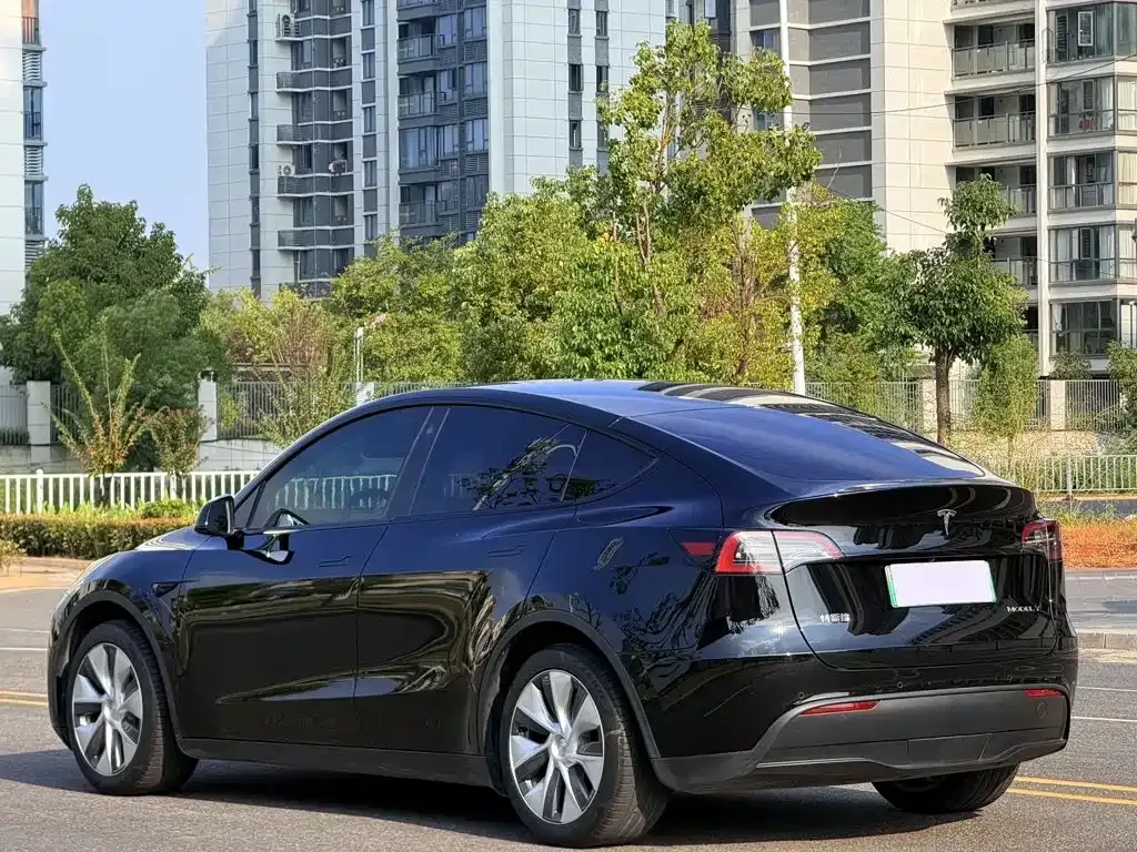 Tesla Model Y — фото 9
