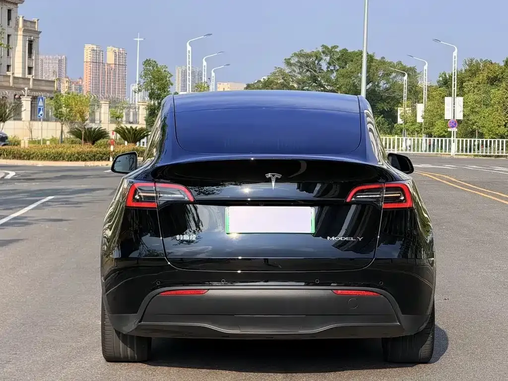 Tesla Model Y — фото 5