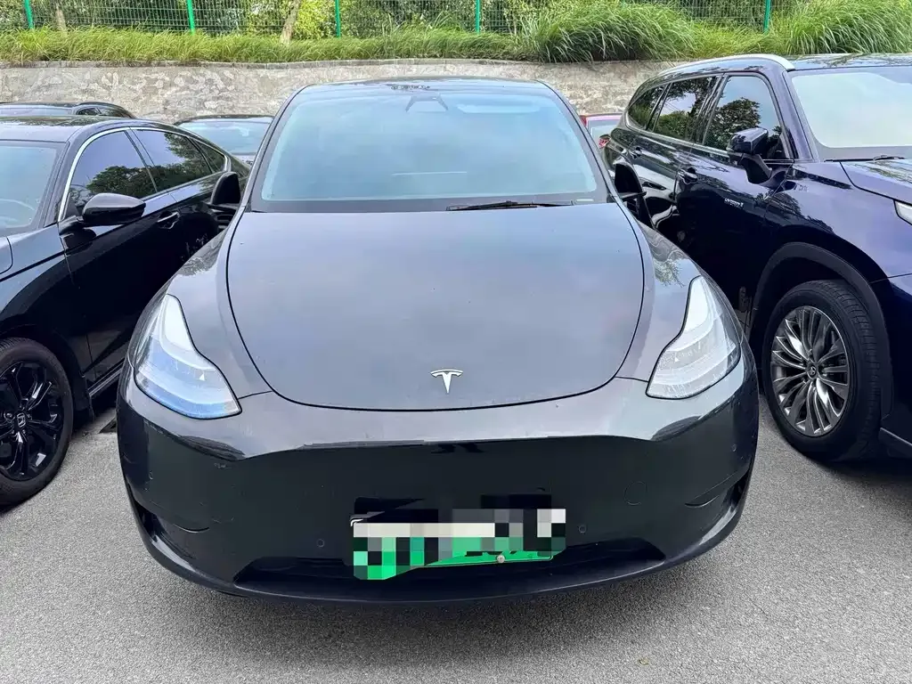 Tesla Model Y — фото 4