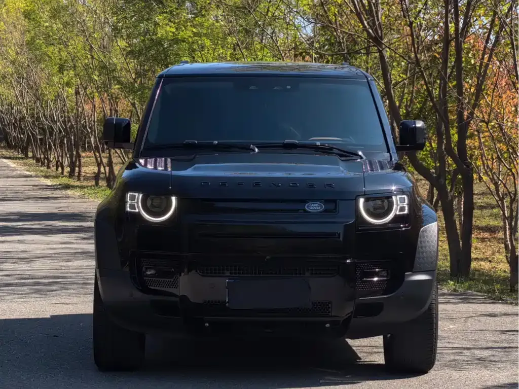 Land Rover Defender — фото 2